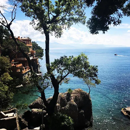 Ladidi Rapallo