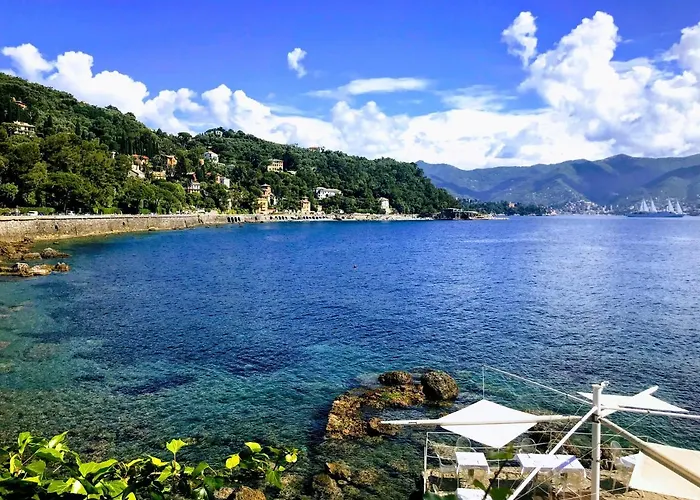 Ladidi Готель типу 