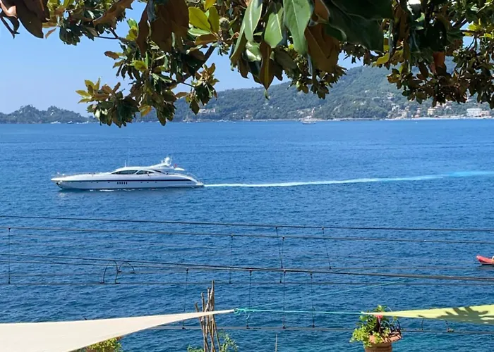 Готель типу 